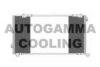 AUTOGAMMA 103924 Condenser, air conditioning